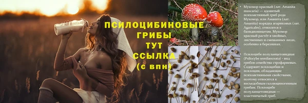 эйфоретик Краснослободск