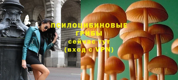 эйфоретик Краснослободск