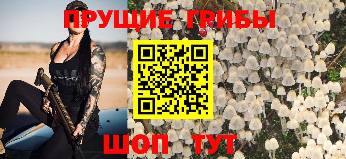 Псилоцибиновые грибы GOLDEN TEACHER  закладки  Краснознаменск  Вход с VPN 