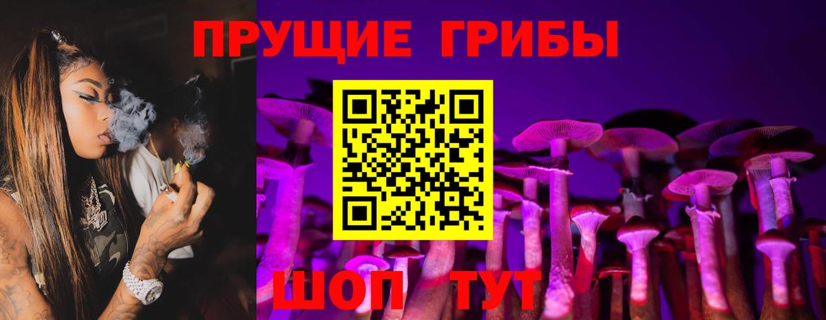 Псилоцибиновые грибы MAGIC MUSHROOMS Краснознаменск
